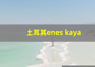 土耳其enes kaya